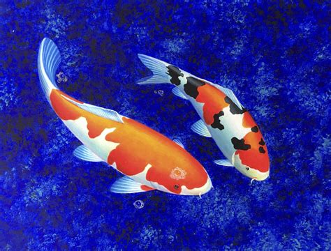 Abstract Koi Fish Painting