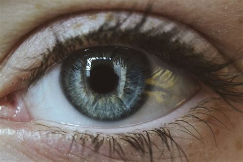 Macro / eye photo / close photography / blue eyes / grey eyes / iris ...