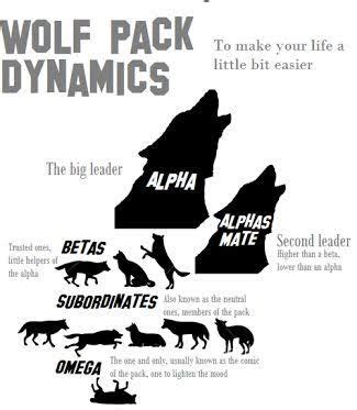 Image result for wolf pack hierarchy | Grijze wolven, Weerwolf, Schrijftips