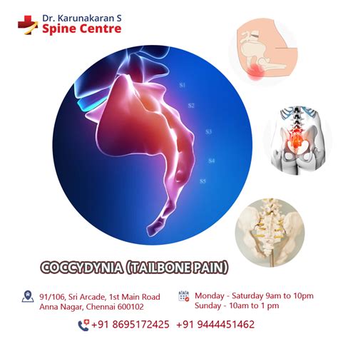 Coccydynia: Overview, Causes, and Treatment - Best Spine Specialist In Chennai | Dr Karunakaran ...