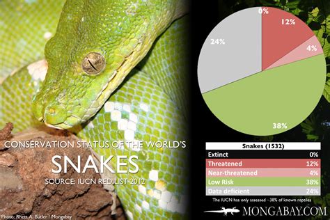 CHART: The world's most endangered snakes