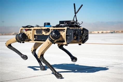 The Army Wants to Slap a Next Generation Squad Weapon on a Robot Dog | Military.com