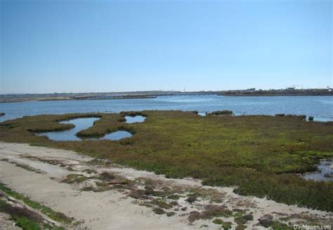 Bolsa Chica Wetlands Huntington Beach Orange County Day Trip