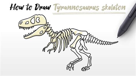 How to Draw skeleton Trex Tyrannosaurus dinosaur bones halloween Easy ...