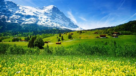 Swiss Alps Spring Wallpapers - Wallpaper Cave