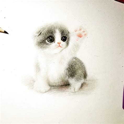 Adorable Animals Drawings to Cure Unhappiness – Fubiz Media