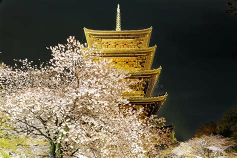 Blossoms of Sakura Trees and the Famous Five-Story Pagoda of Toji ...