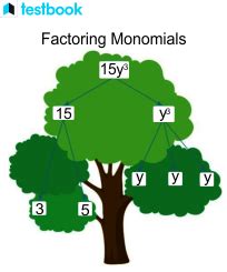 Monomial: Definition, Degree, How to Find a Monomial & Examples