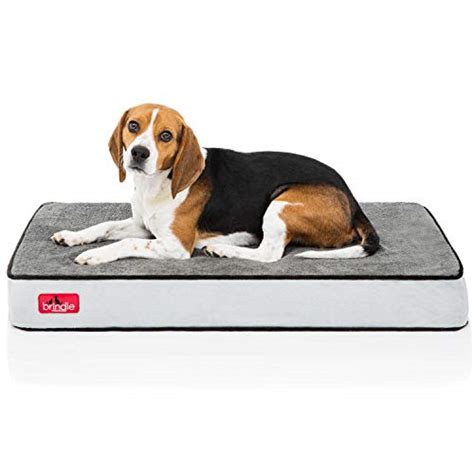 The 25 Best Orthopedic Dog Beds of 2020 - Pet Life Today