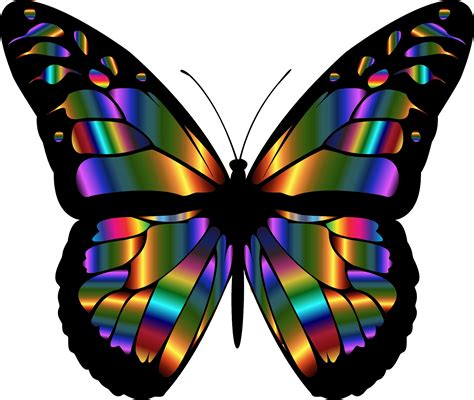 Butterfly Clipart | Free download on ClipArtMag