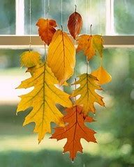 Reusing natural Dry Leaves for decorations – ecogreenlove