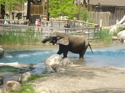 Hogle Zoo in Salt Lake City, Utah - Kid-friendly Attractions | Trekaroo