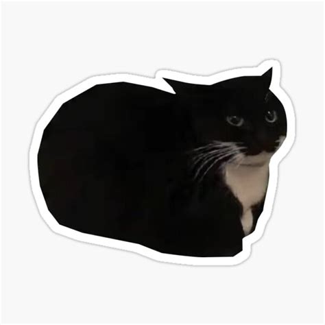 "Maxwell the Cat" Sticker for Sale by tttatia | Redbubble