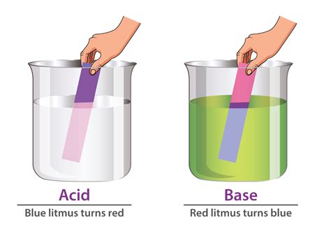 Acid and Base Indicators Lab Activity ⋆ iTeachly.com