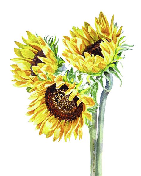 Watercolor Sunflowers Bouquet Painting by Irina Sztukowski - Fine Art America