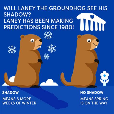 Groundhogs & Other Animals with Interesting Teeth | Lane Dental Blog