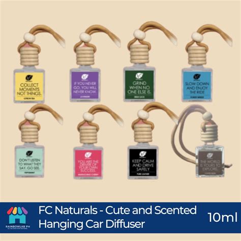 Hanging Car Diffuser Fragrance Air Freshener/Scent 10ml | Shopee Philippines