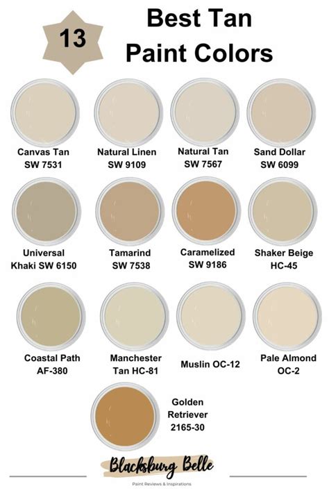 13 Best Tan Paint Colors for Interior Designs: From Light to Dark