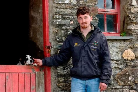 The sheepdog breeders in Wales who sell pups all over the world for as much as £27,000 - Wales ...