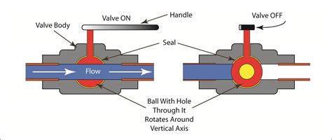 Globe Valve Diagram