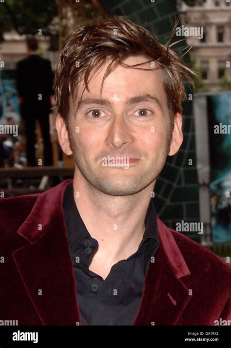 David Tennant Harry Potter