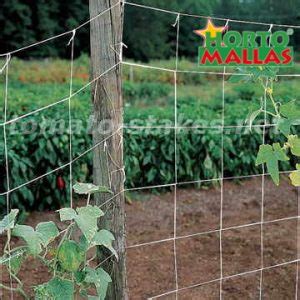 Tomato stakes, for support in the growth of tomatoes. - Tomato Stakes