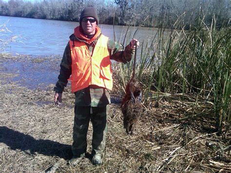 Rare Breed Whitetail Hunting: Nutria friend or foe?