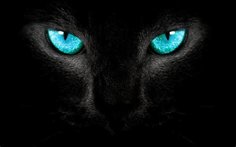 🔥 [50+] Black Panther Blue Eyes Wallpapers | WallpaperSafari