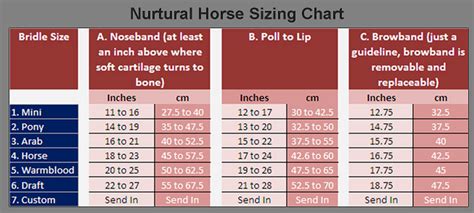 How Do I Measure My Horse – Nurtural Horse Bitless Bridles