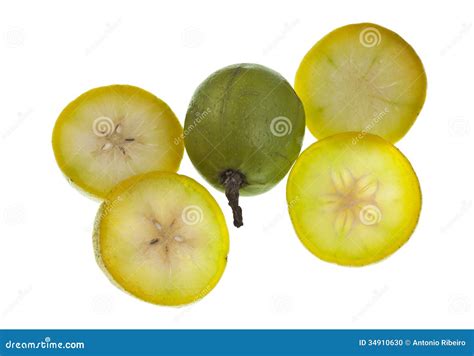 Umbrella Fruit Stock Photo - Image: 34910630