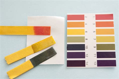 pH paper chart with litmus paper tests-9967 | Stockarch Free Stock ...