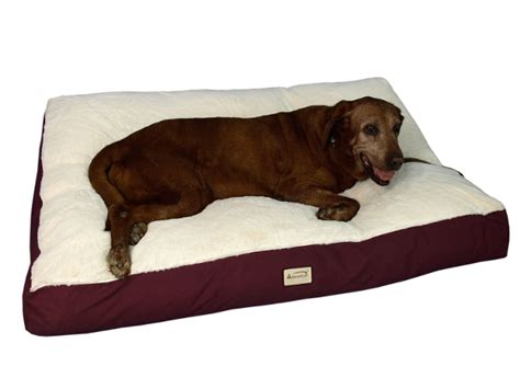 Best Dog Beds For Large Dogs - http://www.dogvills.com