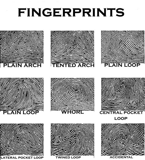 How Long Are Identogo Fingerprints Good For