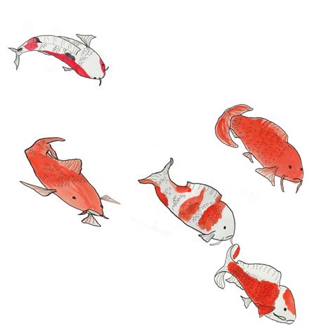 Krill Drawing at GetDrawings | Free download