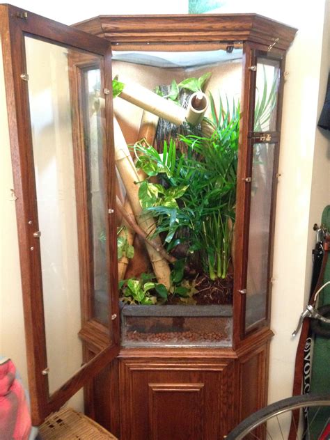 HOW TO: Convert Cabinet into Reptile Enclosure – Animals at Home