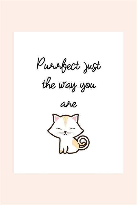 15 Cute Cat Quotes for Cat Lovers