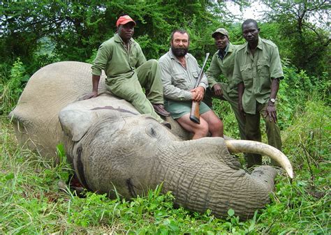 Is Trophy Hunting Helping Save African Elephants?