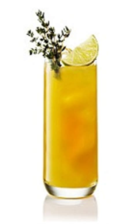 Orange Gin Cocktail Recipe with Picture