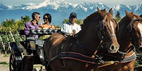 The Best Wine Tasting Tours and Winery Visits in Mendoza : Winerist Magazine