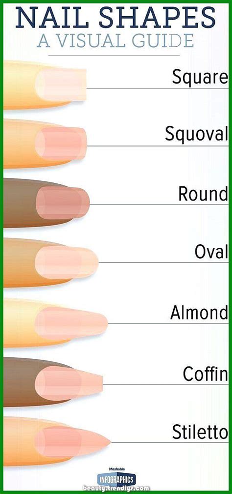 Nail Shape Guide : r/coolguides