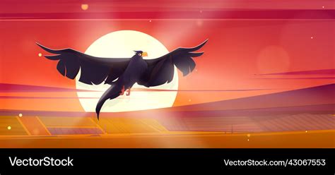 Rural landscape with flying raven at sunset Vector Image