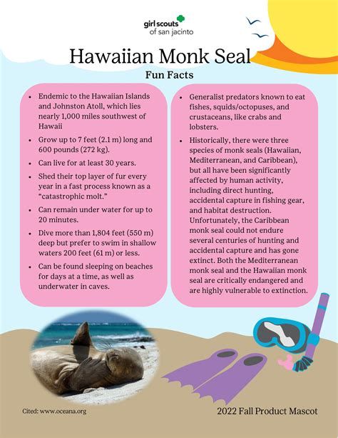 Facts about the Monk Seal by GSSJC - Issuu