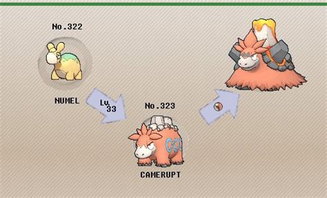 Pokemon Numel Evolution Chart