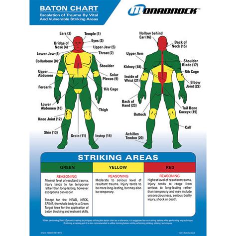 Baton Trauma Zone Poster and Quick Reference Tool - Defense Technology