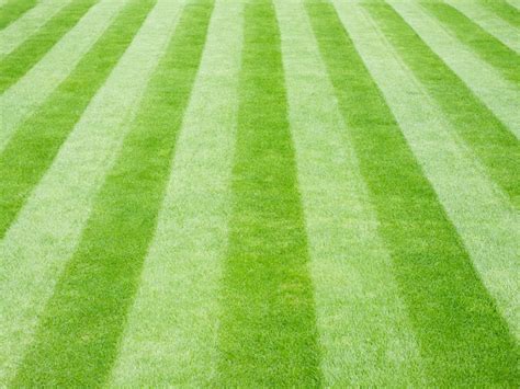 How To Mow Stripes In A Lawn