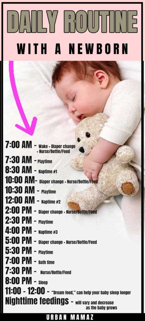 Daily Routine With a Newborn in 2020 | Baby routine, Routine for newborn, Newborn