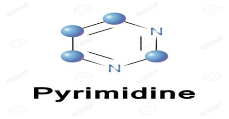 Pyrimidine - Assignment Point