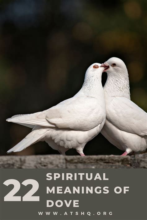 Dove Symbolism: 22 Spiritual Meanings Of Dove