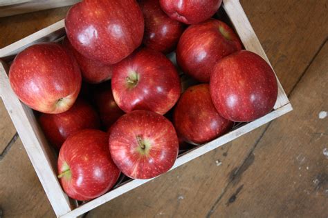 Red Delicious Apples - Tuttle Orchards