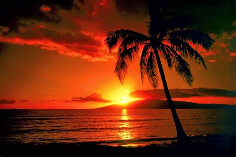 Hawaii sunset | Sunset beach, Manzara, Doğa fotoğrafları